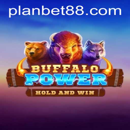 Exploring BuffaloPower: The Exciting World of Plan Bet