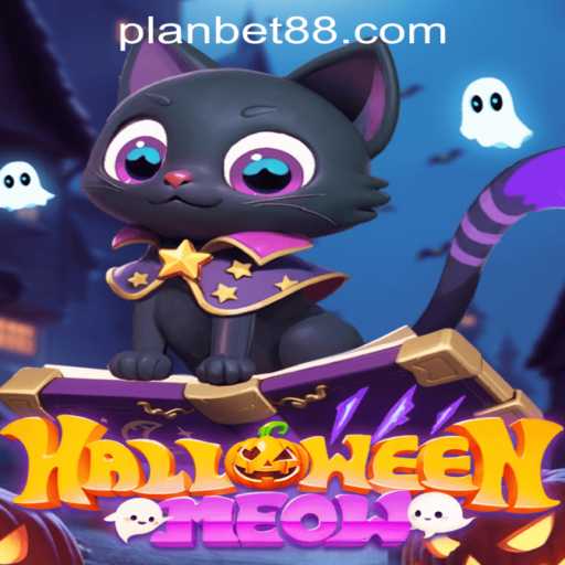 Unveiling HalloweenMeow: A Spooky New Adventure in Gaming