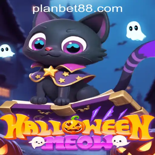 Unveiling HalloweenMeow: A Spooky New Adventure in Gaming