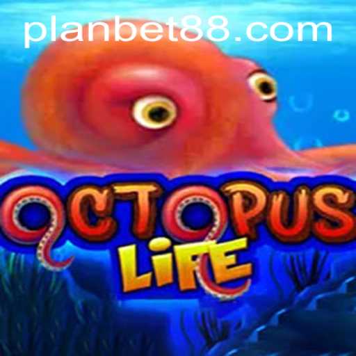 Exploring the Depths of OctopusLife: A Riveting Dive into Strategy and Chance
